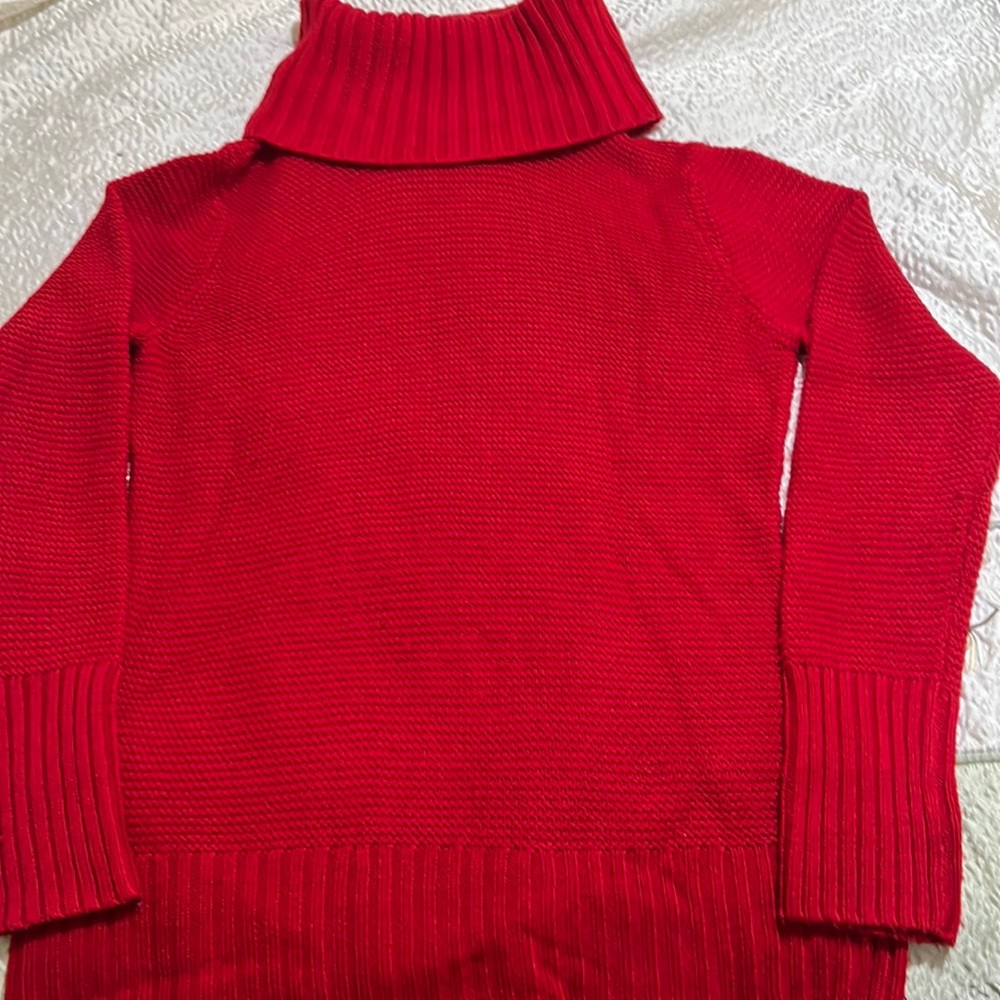 Banana Republic Turtle Neck Sweater
